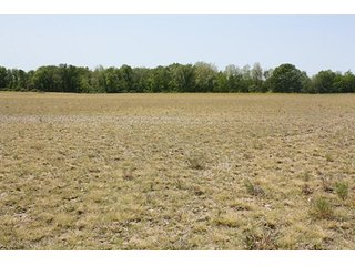 Property photo 12 - LAND AUCTION - 389.5+/- ACRES IN 11 TRACTS IN SULLIVAN COUNTY, INDIANA